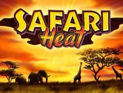 Safari Heat