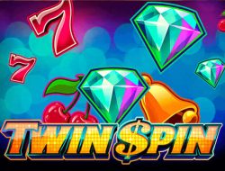 Twin Spin