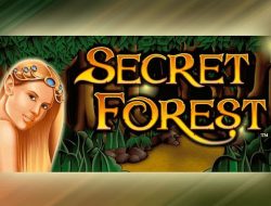 Secret Forest