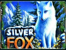 Silver Fox